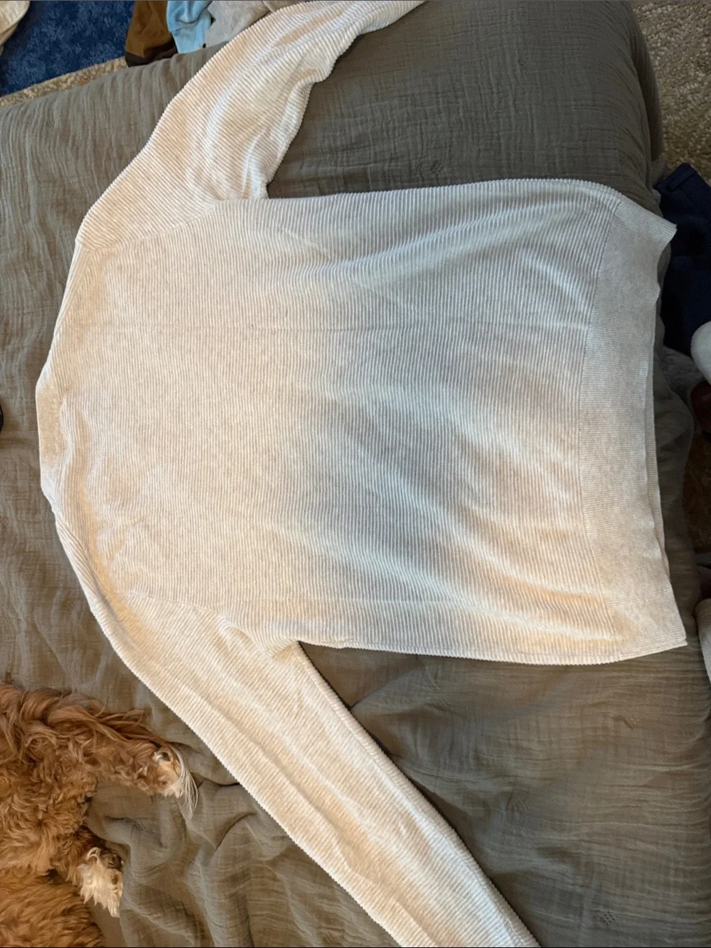 Banana Republic Lightweight Cream Crewneck Ribbed Sweater